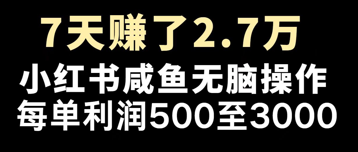 最赚钱项目之一，2025爆火，逆风翻盘！