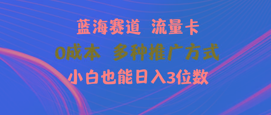 蓝海赛道 流量卡 0成本 小白也能日入三位数