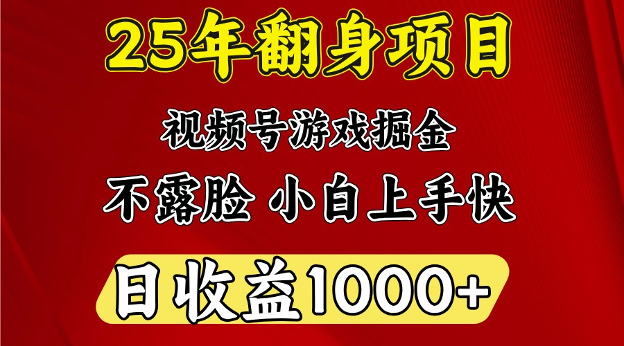 一天收益1000+ 25年开年落地好项目