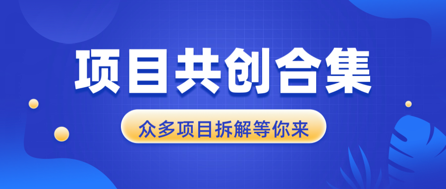 项目共创合集，从0-1全过程拆解，让你迅速找到适合自已的项目